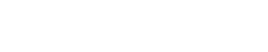 Hicaliber Developers